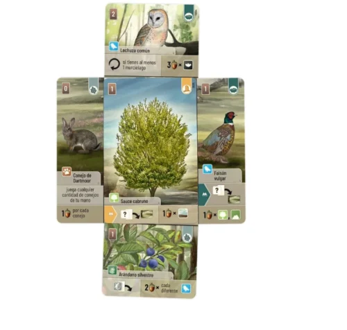 Forest Shuffle: Dartmoor