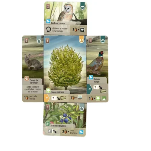 Forest Shuffle: Dartmoor